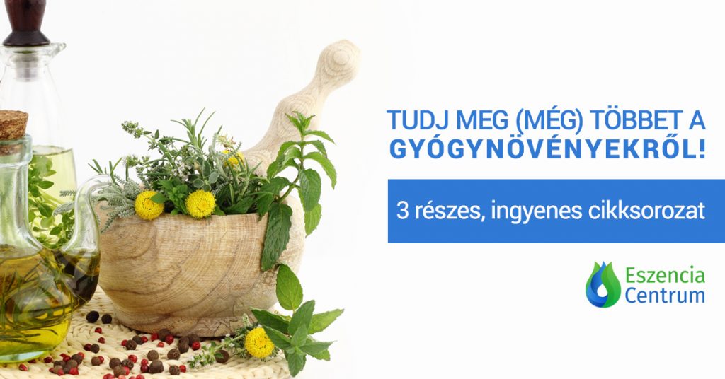 tudj-meg-meg-tobbet-gyogynovenyek-cikksorozat 3 részes cikksorozat a gyógynövényekről